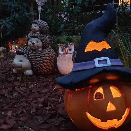 Adel 아파트 이졸라